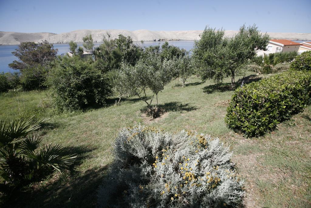 Apartments Roza Miskovici Exterior photo